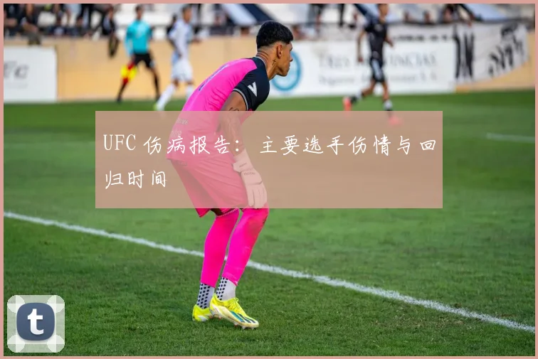 UFC 伤病报告：主要选手伤情与回归时间