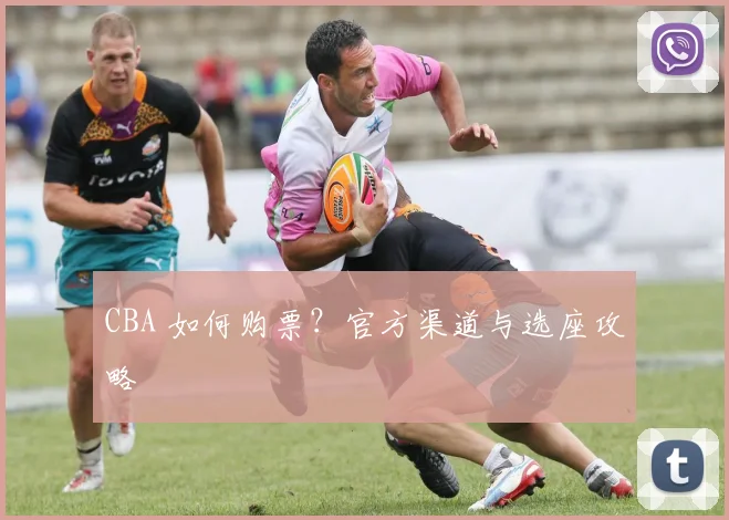 CBA 如何购票?官方渠道与选座攻略