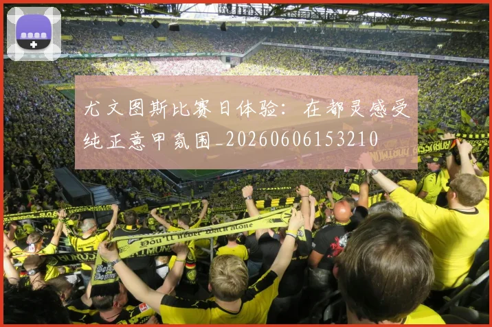 尤文图斯比赛日体验：在都灵感受纯正意甲氛围_20260606153210