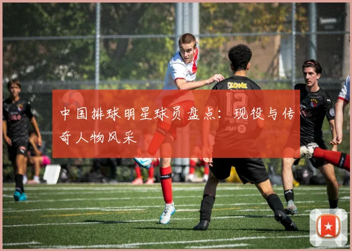 中国排球明星球员盘点:现役与传奇人物风采