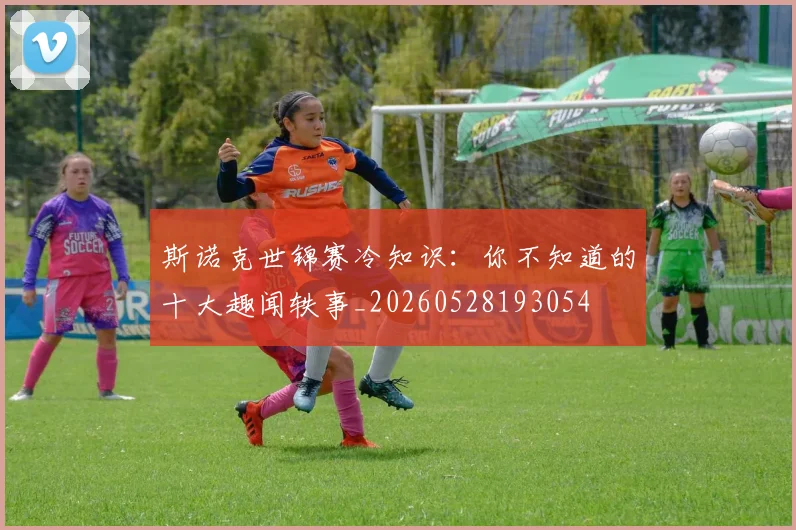 斯诺克世锦赛冷知识：你不知道的十大趣闻轶事_20260528193054