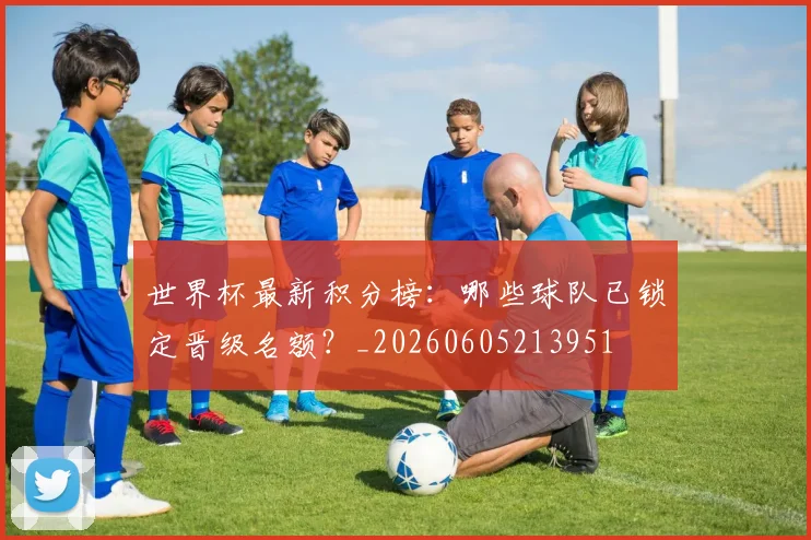 世界杯最新积分榜：哪些球队已锁定晋级名额？_20260605213951