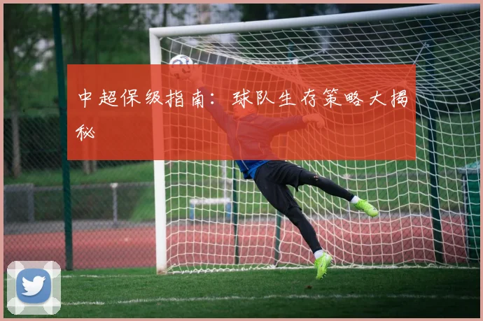 中超保级指南：球队生存策略大揭秘