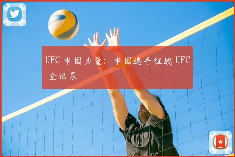 UFC 中国力量：中国选手征战 UFC 全记录