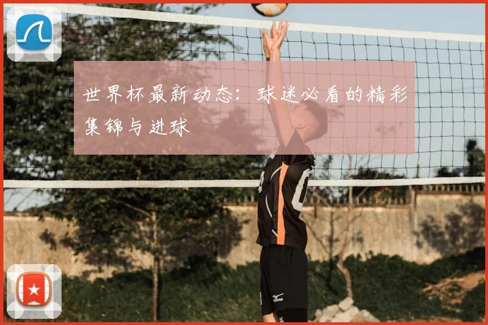 世界杯最新动态：球迷必看的精彩集锦与进球